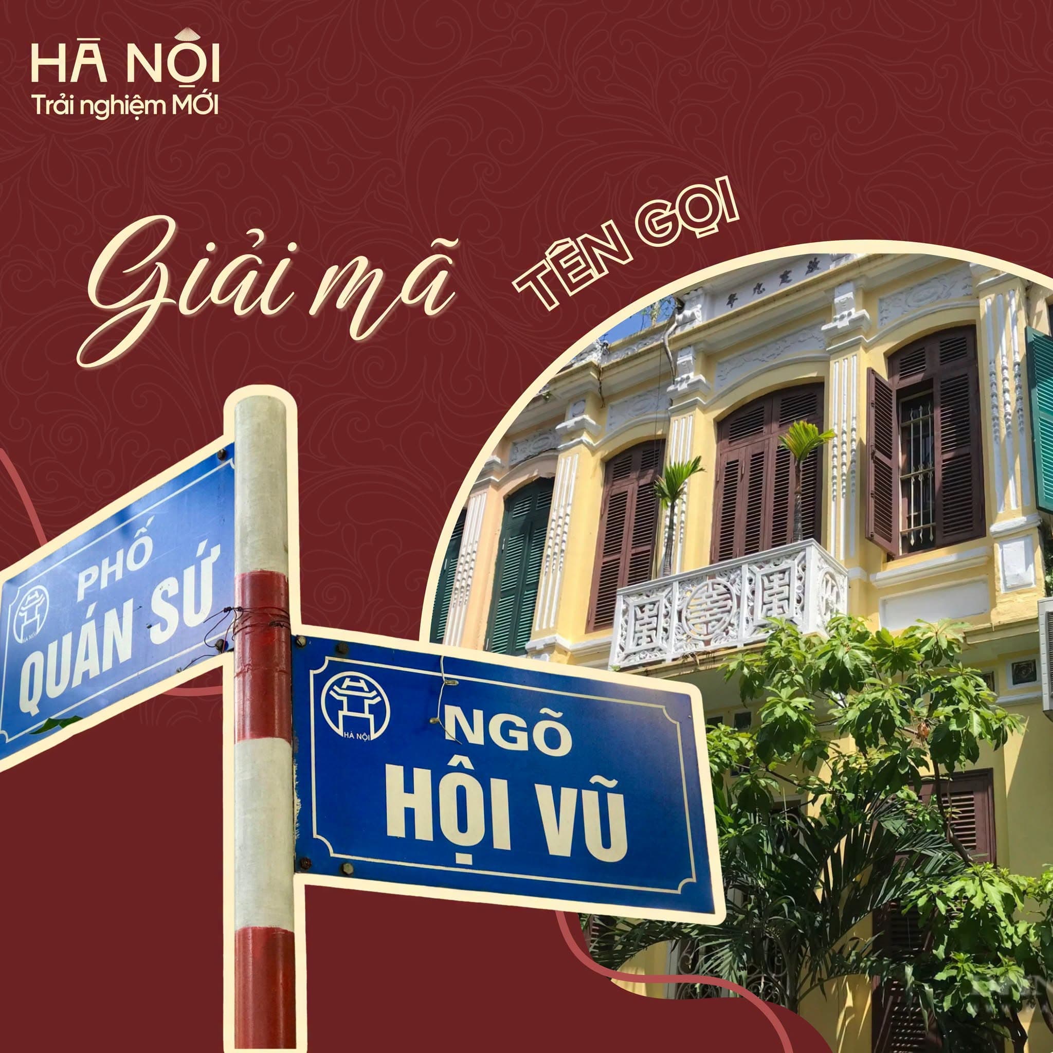 ngo-hoi-vu (7).jfif