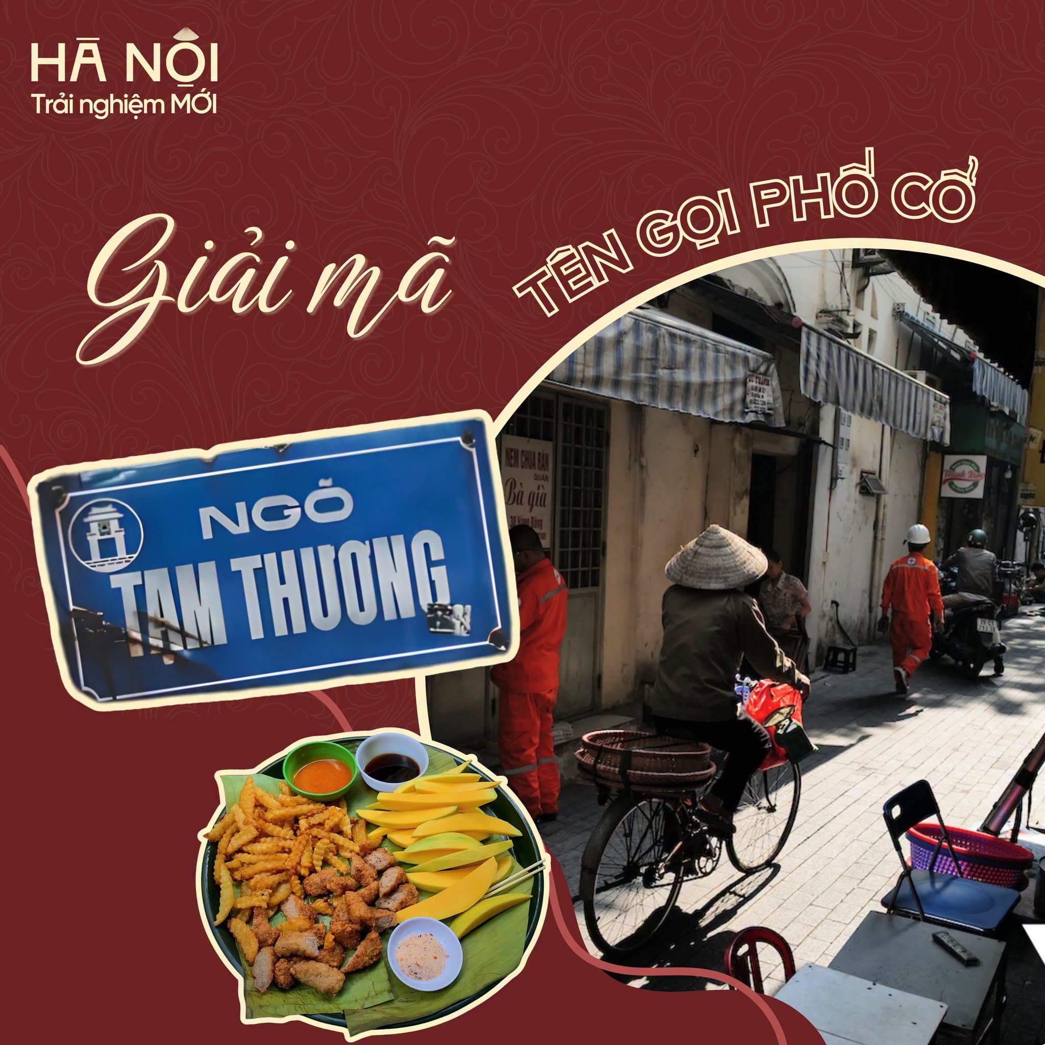 ngo-tam-thuong (4).jfif