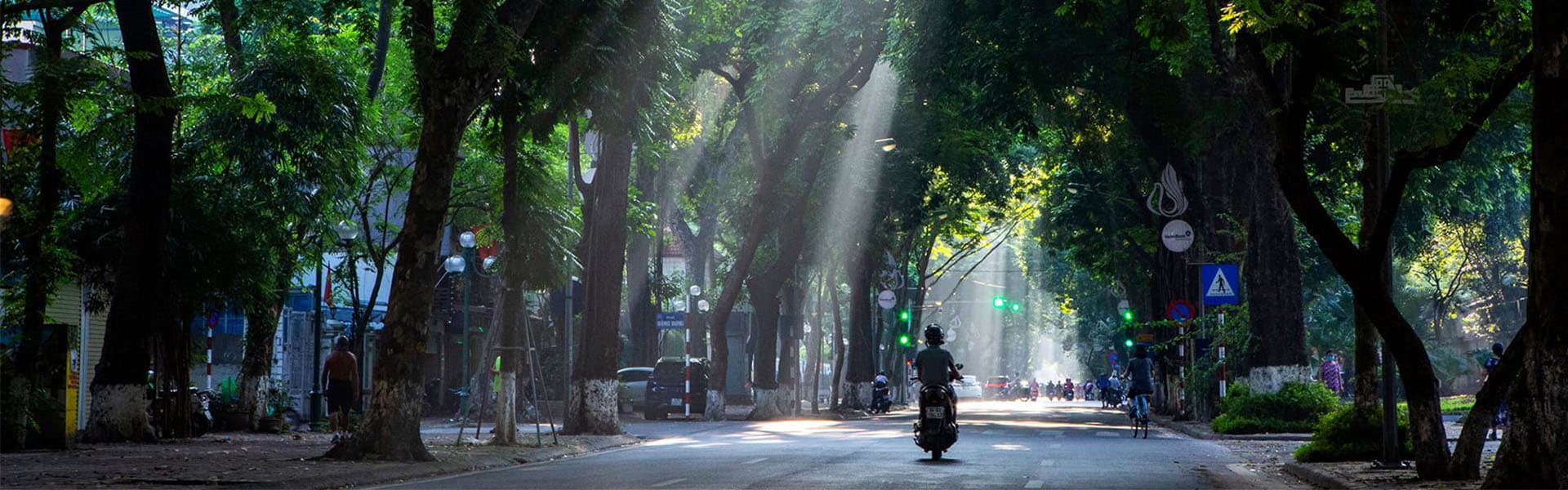 Tour Ngắm cảnh Ban đêm Hạ Long